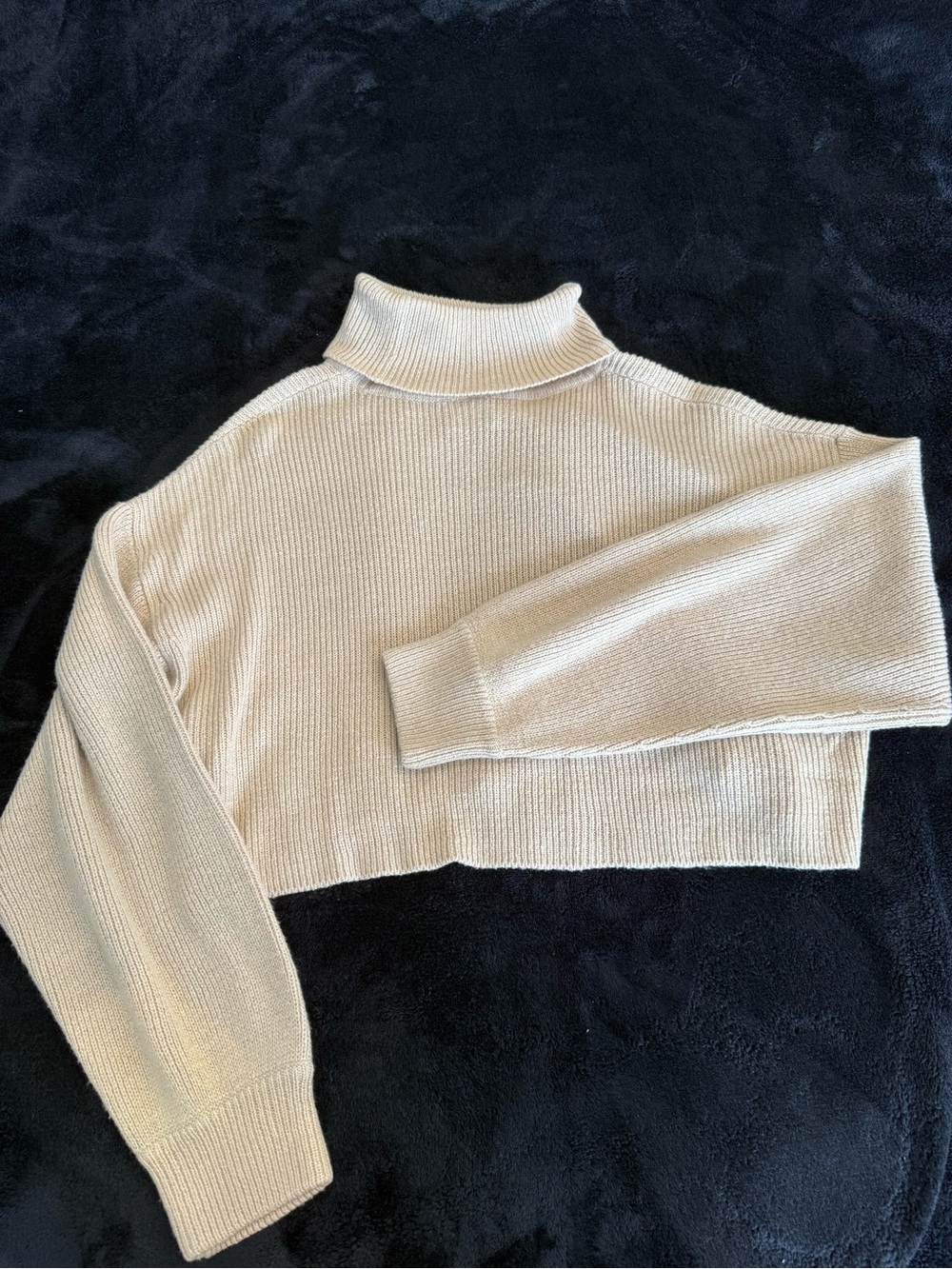 Divided Crop Turtle Neck Sweater